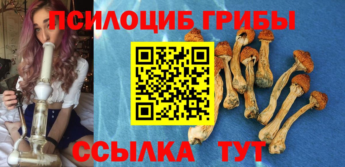 Галлюциногенные грибы мухоморы  Галлюциногенные грибы MAGIC MUSHROOMS  Вход с VPN  даркнет сайт  Торжок 